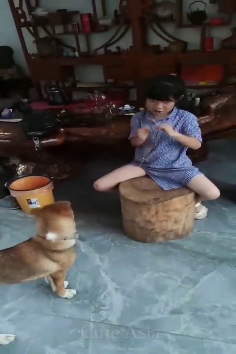 Funny video