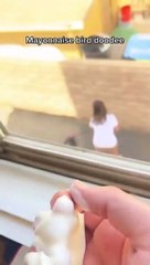 Quand les oiseaux s'acharnent sur une femme... enfin presque