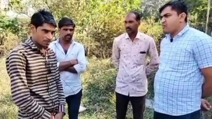 वीडियो स्टोरी : यूरोपियन की जुबान पर चढ़ा निमाड़ी मिर्ची का जायका