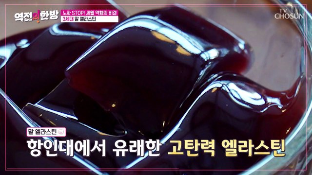 탄력 넘치는 피부 재생에 도움 주는 ‘말 엘라스틴’ TV CHOSUN 230210 방송