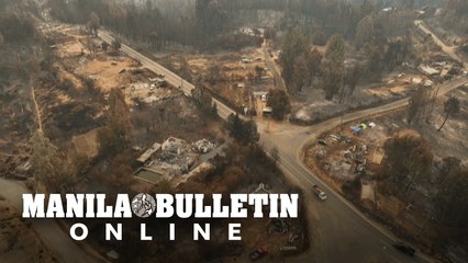 'We lost everything': Chile forest fire survivors