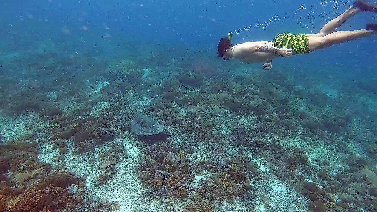 snorkeling gili trawangan video Dailymotion