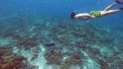 snorkeling gili trawangan