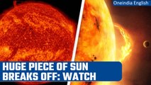 NASA: Massive segment of the Sun breaks off; video captured by James Webb telescope | Oneindia News