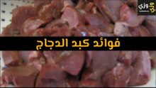 أهم فوائد كبد الدجاج