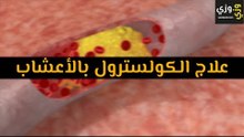 أهم علاج الكولسترول بالأعشاب