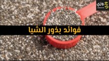 أهم فوائد بذور الشيا