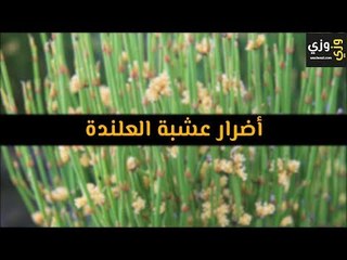 أهم أضرار عشبة العلندة