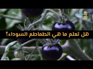 هل تعلم ما هي الطماطم السوداء؟