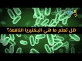 أهم هل تعلم ما هي البكتيريا النافعة