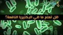 أهم هل تعلم ما هي البكتيريا النافعة