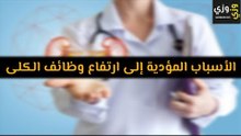 أهم الأسباب المؤدية إلى ارتفاع وظائف الكلى