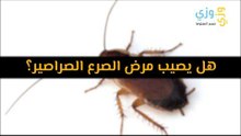 هل يصيب مرض الصرع الصراصير