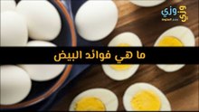 أهم فوائد البيض ما هي؟