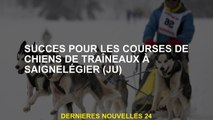 Succès pour les courses pour chiens stagiaires à SigneLegier