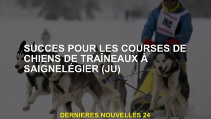 Succès pour les courses pour chiens stagiaires à SigneLegier