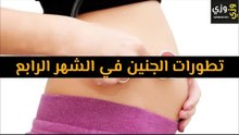 أهم تطورات الجنين في الشهر الرابع