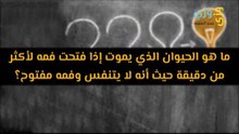 ما هو الحيوان الذي يموت إذا فتح فمه؟