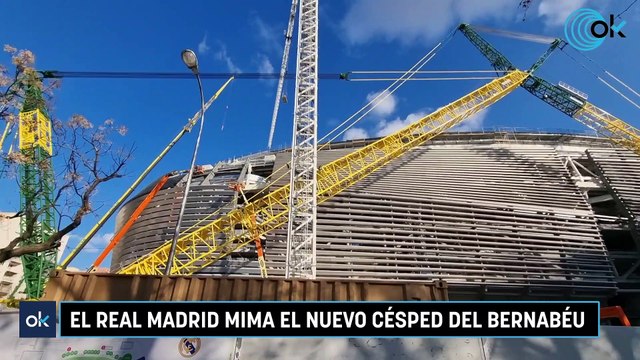 El Real Madrid mima el nuevo césped del Bernabéu