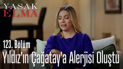Yıldız'ın Çağatay'a alerjisi oluştu - Yasak Elma 123. Bölüm
