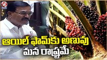 Minister Niranjan Reddy Full Speech About Oil Farm Cultivation _ Telangana Assembly _ V6 News