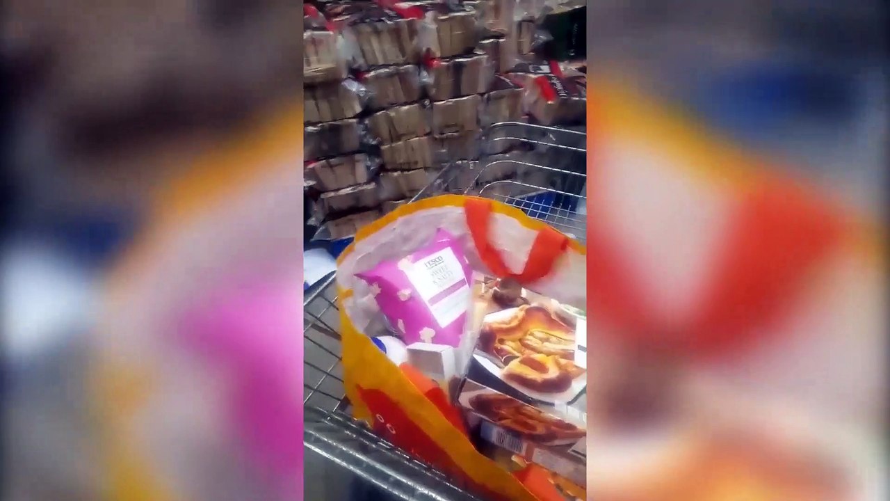 Harvest mouse becomes unlikely star by enjoying mini versions of meals eaten by human owner