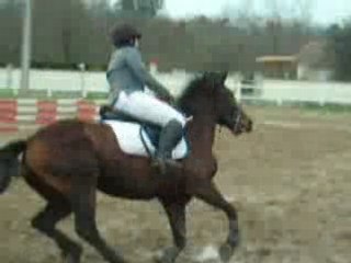 Concours st laurent du médoc 021