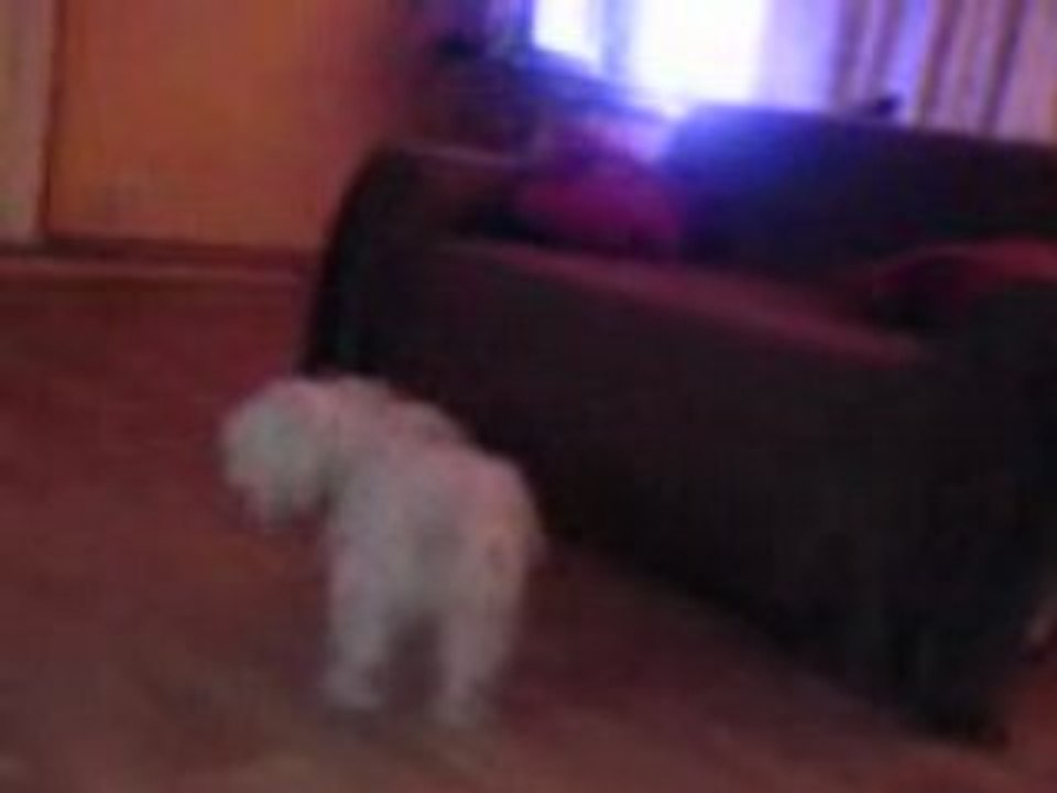 MOV00022