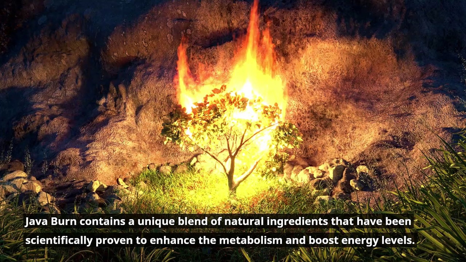 Java Burn Review || Java Burn || Official NPR