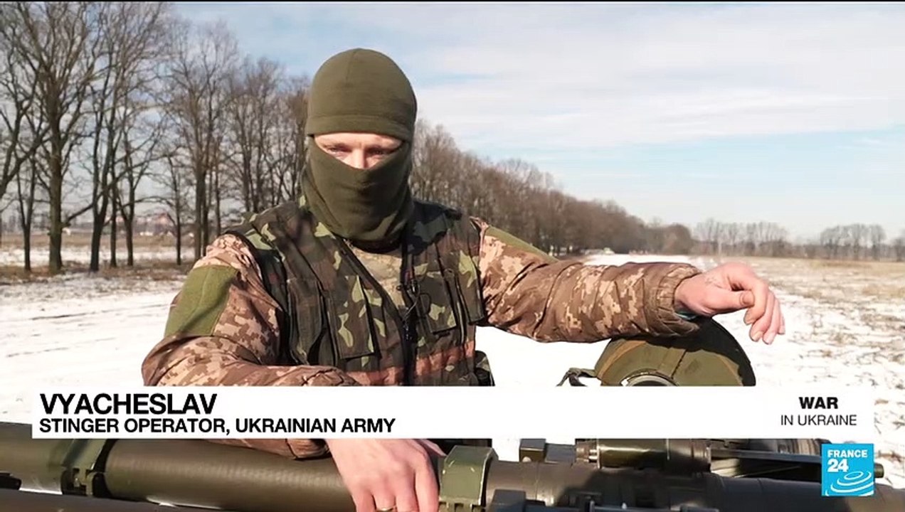Military aid to Ukraine: 'Stingers' are helpful but Kyiv wants heavier air defence