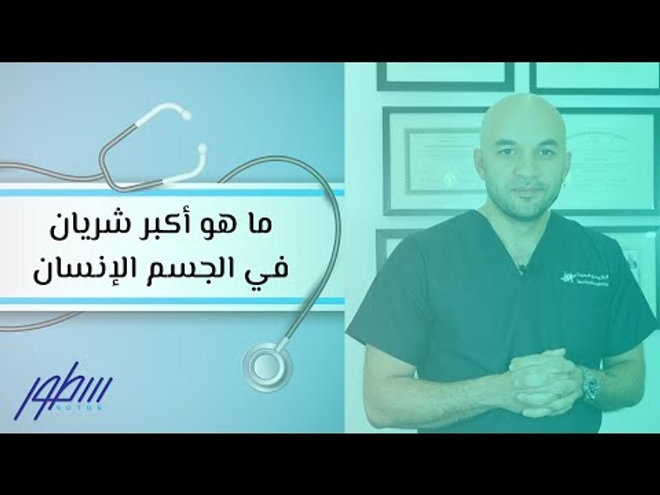 ما هو أكبر شريان في الجسم الإنسان