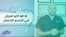 ما هو أكبر شريان في الجسم الإنسان