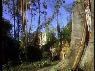 Kidsongs: I'd Like To Teach The World To Sing