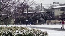 Heavy snow blankets Tokyo