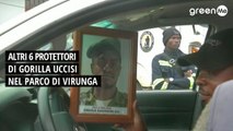 Altri 6 protettori dei gorilla uccisi nel parco di Virunga