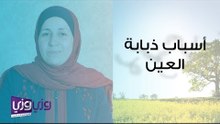 ما هي ذبابة العين وما سببها