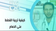 كيفية تربية القطط على الحمام