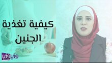 كيفية تغذية الجنين