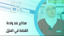 محاذير عند ولادة القطط في المنزل
