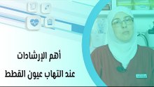 أهم الإرشادات عند التهاب عيون القطط