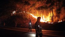 تشيلي تفرض حظر تجول ليليا في المناطق الأكثر تضررا من الحرائق