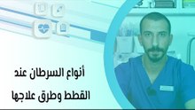 أنواع السرطان عند القطط وطرق علاجها