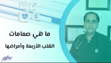 ما هي صمامات القلب الأربعة وأمراضها