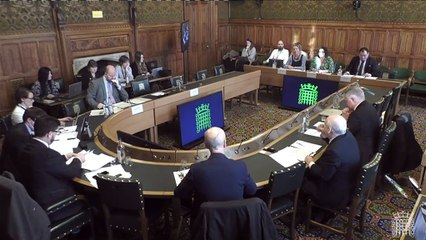 River Wye wild swimmer Angela Jones speaks at Westminster