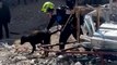 Sniffer dog searches for earthquake survivors in Turkey as death toll passes 21,000