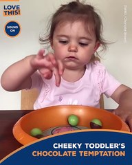 The Tempting Toddler: Can She Resist the Chocolate?