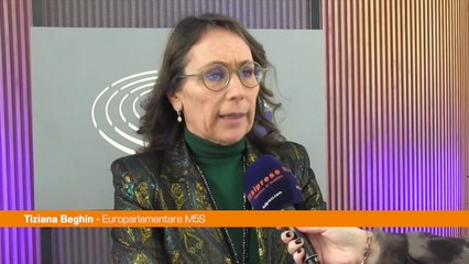 Ue, Beghin "La flessibilità sugli aiuti di Stato non basta"