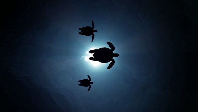 Self love affirmation