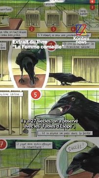 Camille Royer, dessinatrice et co-autrice, raconte l’intelligence des corneilles dans la BD La femme Corneille