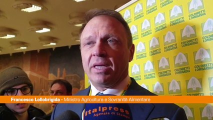 Pnrr, Lollobrigida "Pianificazione a volte ostacola linee di sviluppo"